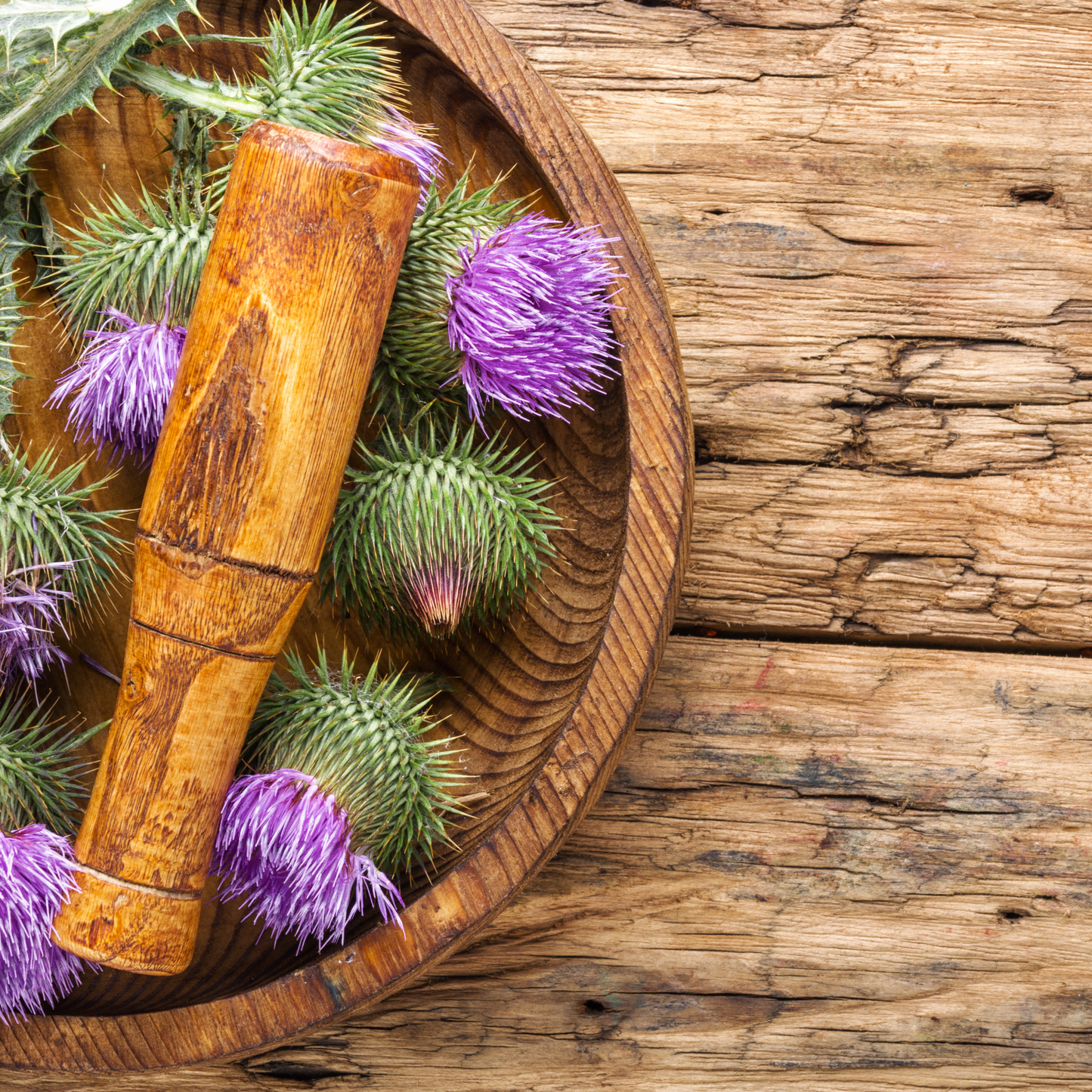 Milk thistle seeds online
