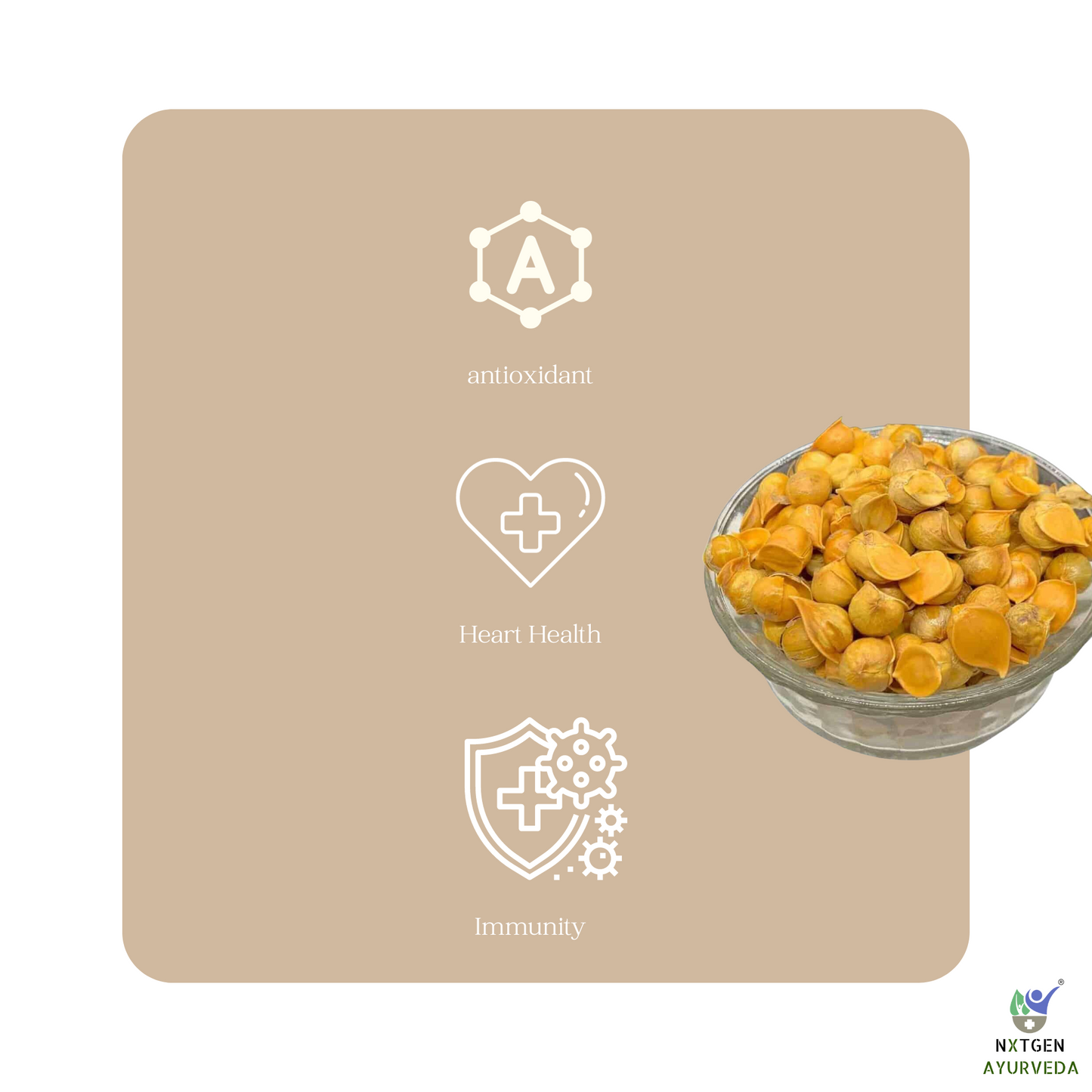 Kashmiri Garlic Single Clove - 50 gm
