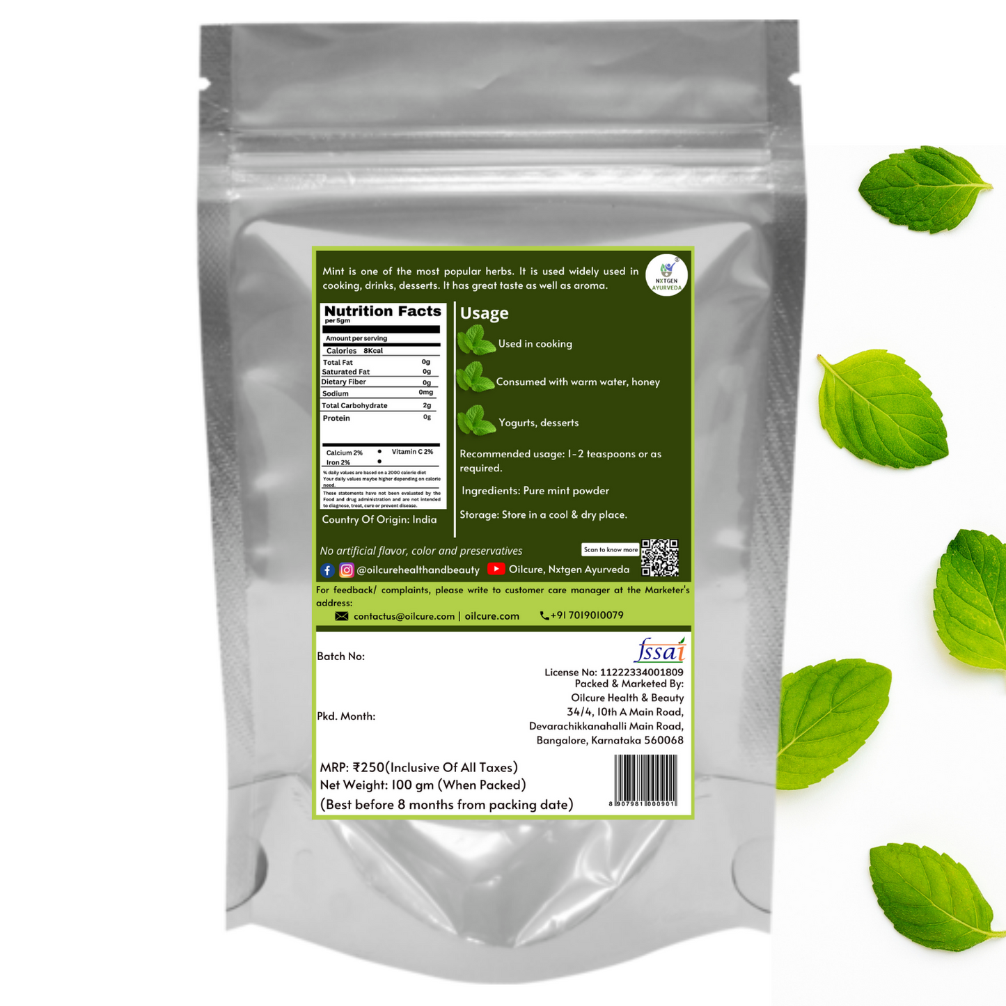 Mint Powder (Pudina) - 100 gms
