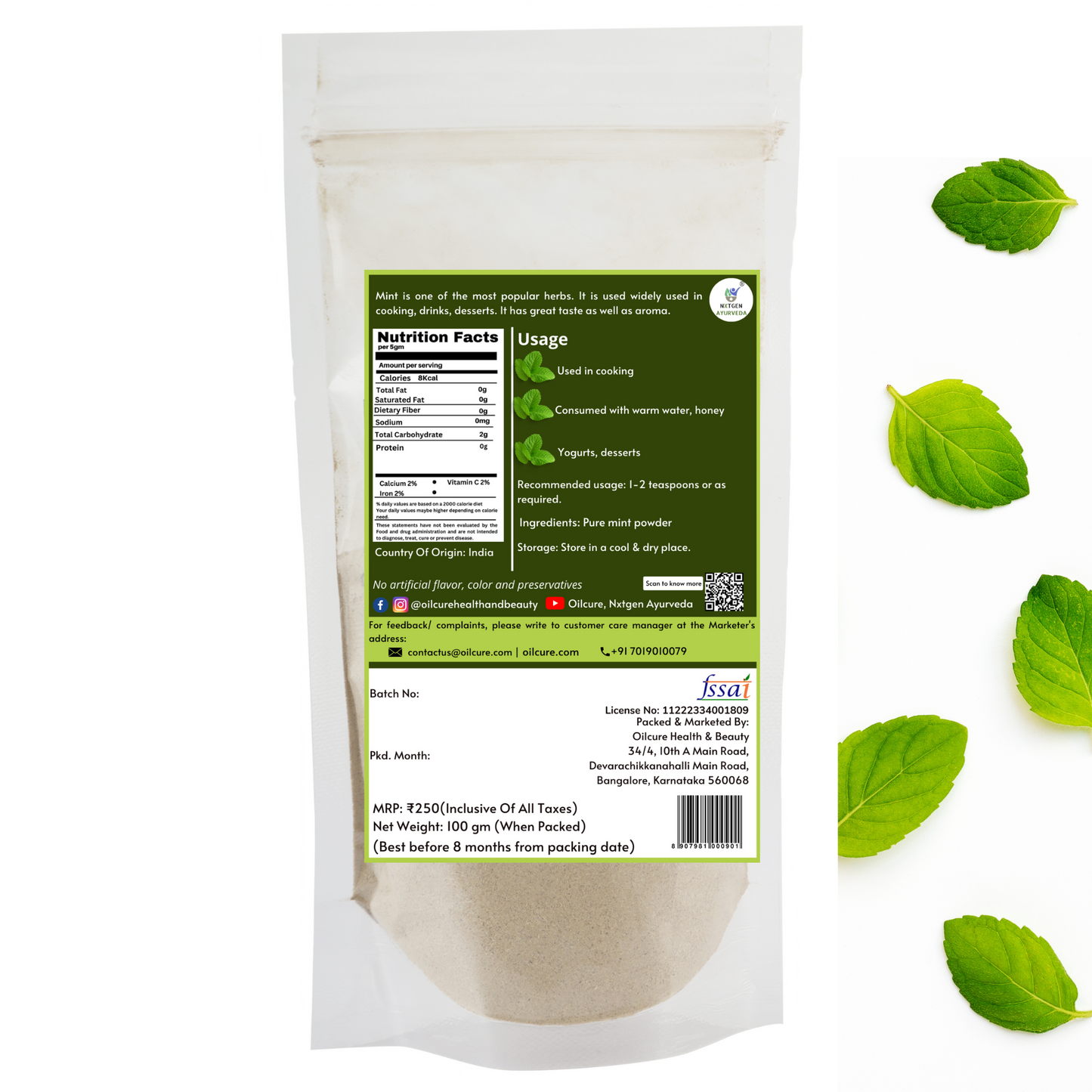 pudina powder online