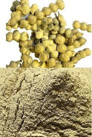 Babool Phali is an excellent source of protein, fiber, and minerals such as calcium and iron