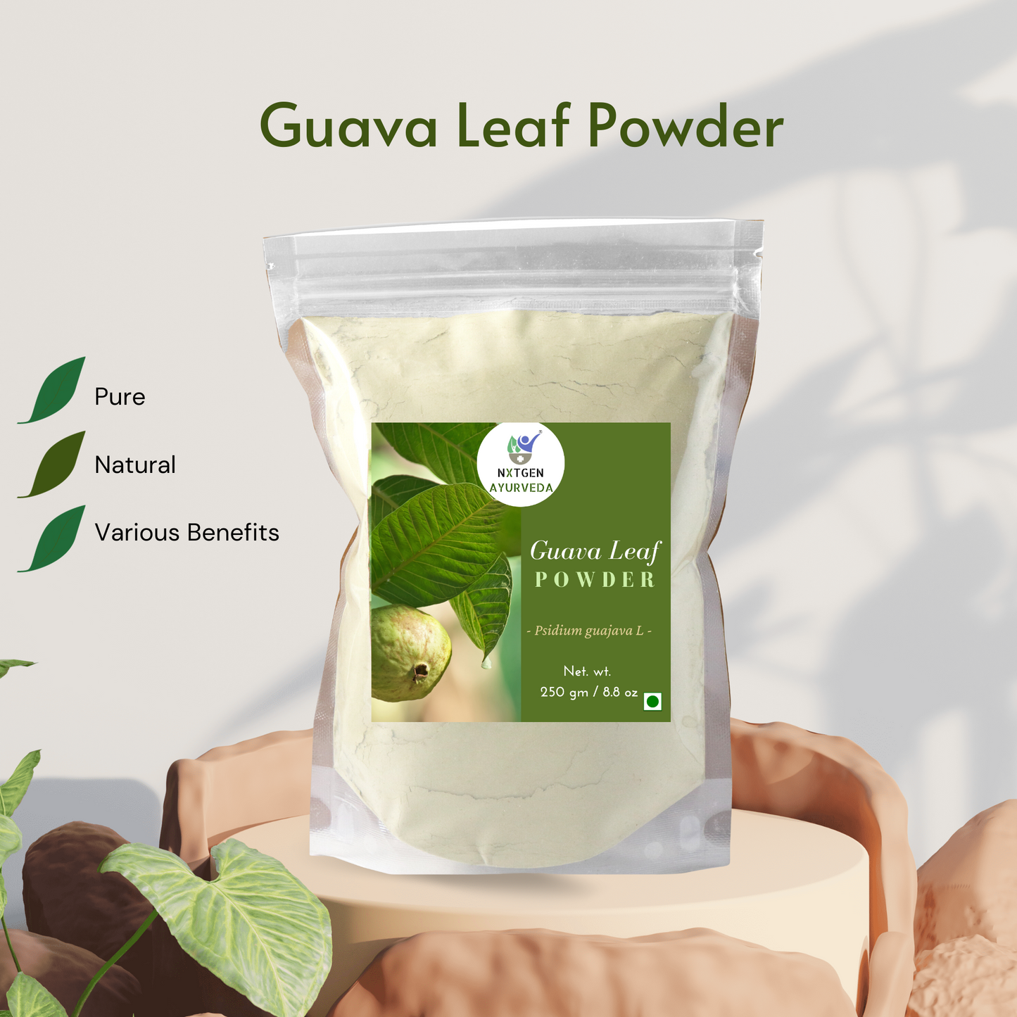 Guava leaf powder organic