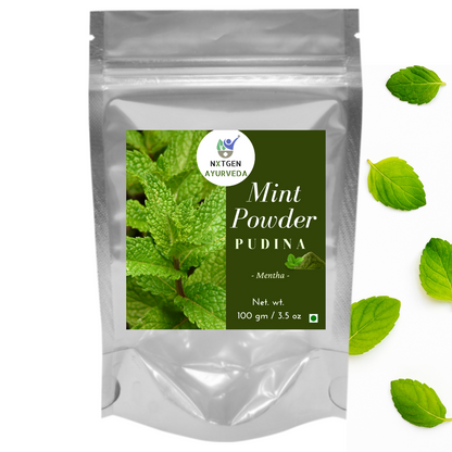 Mint Powder (Pudina) - 100 gms