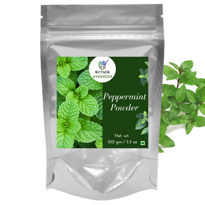Peppermint Leaves Powder  - 100 Gms