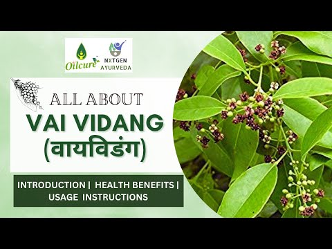 Embelia Ribes benefits