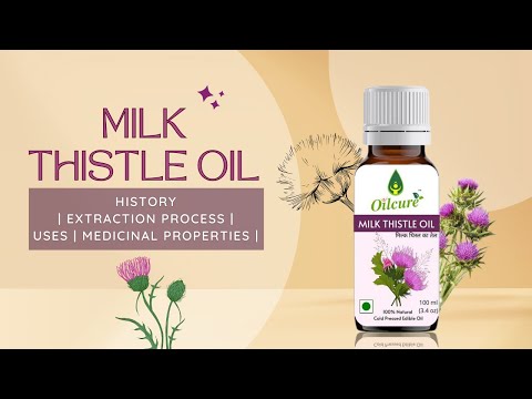 Benefits and how to use milk thistle oil Oilcure