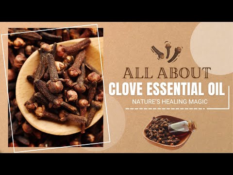 Clove essential oil long ka tel uses