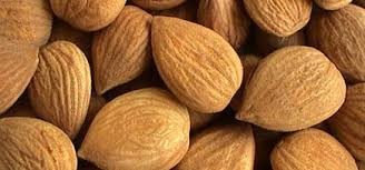 Apricot kernels are the seeds found inside the apricot fruit.