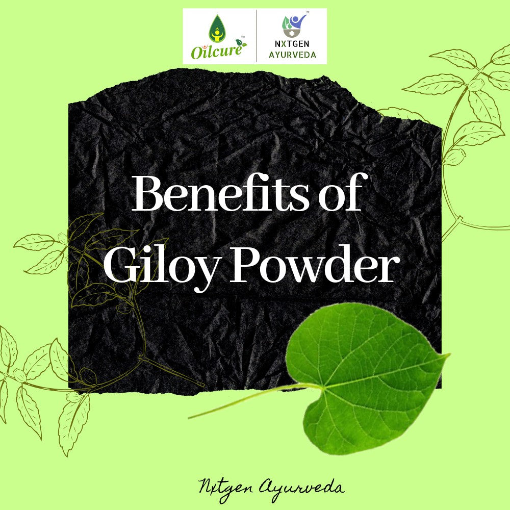 Giloy Powder - 100 gm