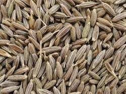  cumin seeds are a flavorful and potentially beneficial ingredient that can be used in a variety of ways
