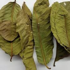 Guava Leaves Dried - 50 Gms