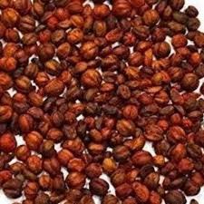 Malkangani Seeds - 100 Gms