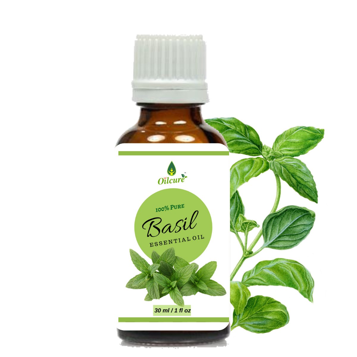 Basil oil has numerous health benefits due to its high content of essential oils and other active compounds,