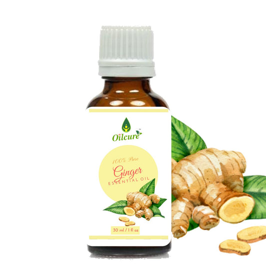 Ginger Oil Pure - 30 ml