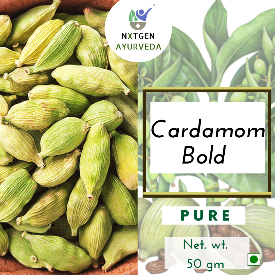 It is widely used in Indian, Middle Eastern, and Scandinavian cuisine, and is prized for its aromatic flavor and medicinal properties.