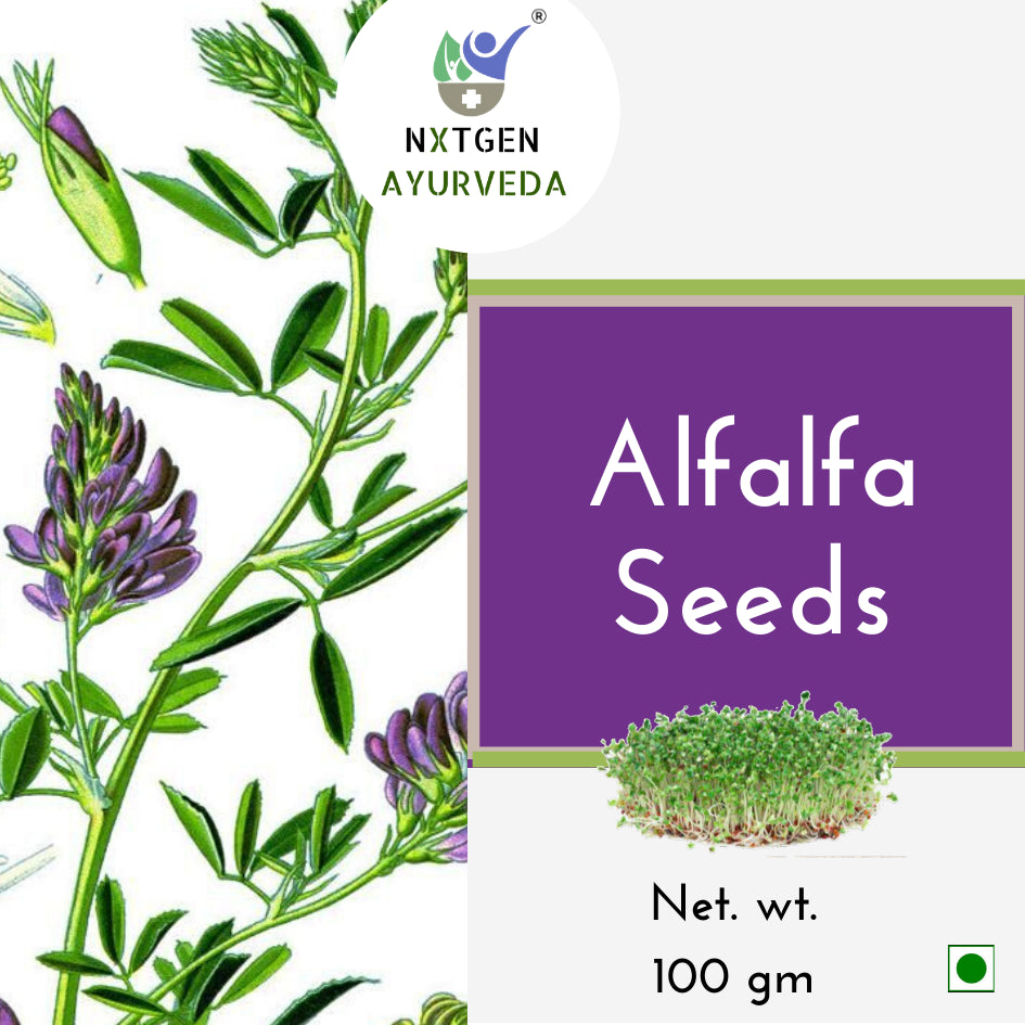 Organic Alfalfa Seeds, a nutrient-dense superfood for your health