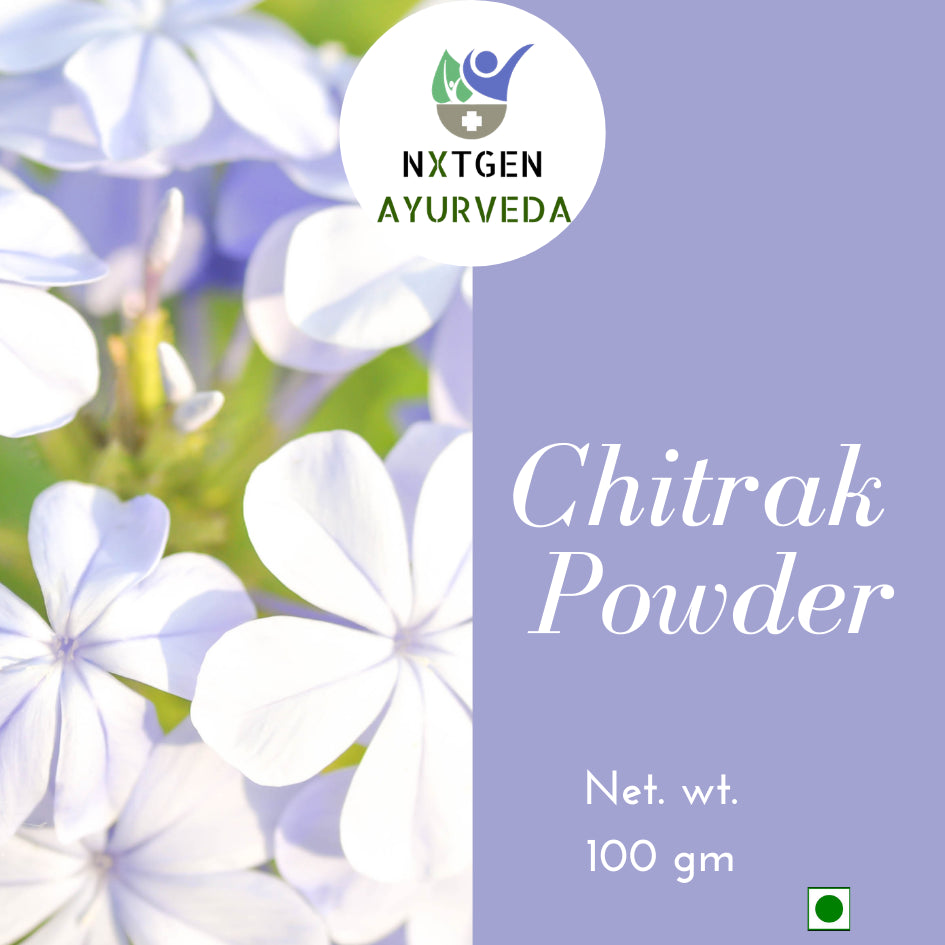 Chitrak powder is a traditional Ayurvedic herbal medicine made from the dried roots of the Chitrak plant