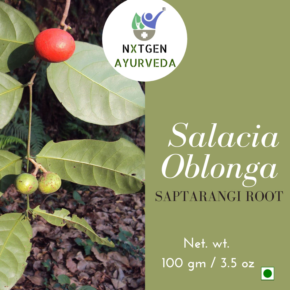 Saptrangi (Salacia Oblonga) Roots - 100 gms
