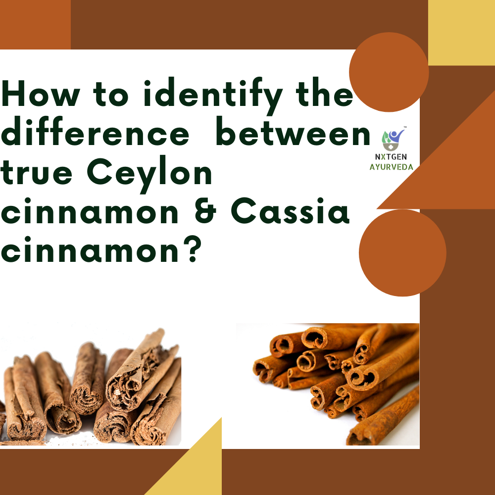 Ceylon Cinnamon Powder|Sri Lanka Dalchini|Dalchini|Health Benefits ...