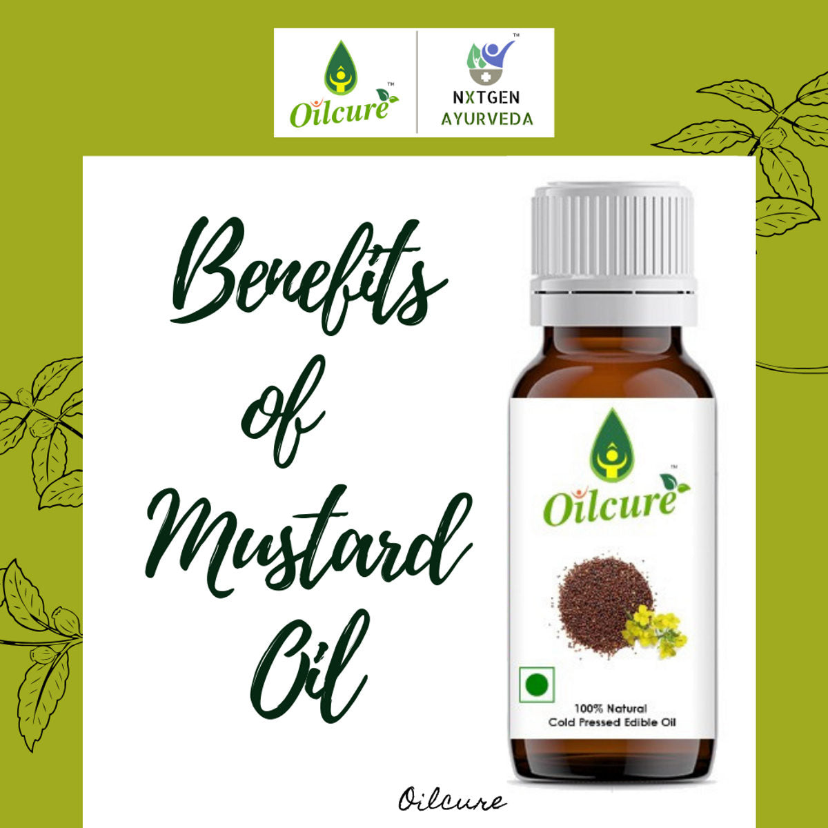 Mustard oil is also used in traditional medicine for skincare and haircare. 