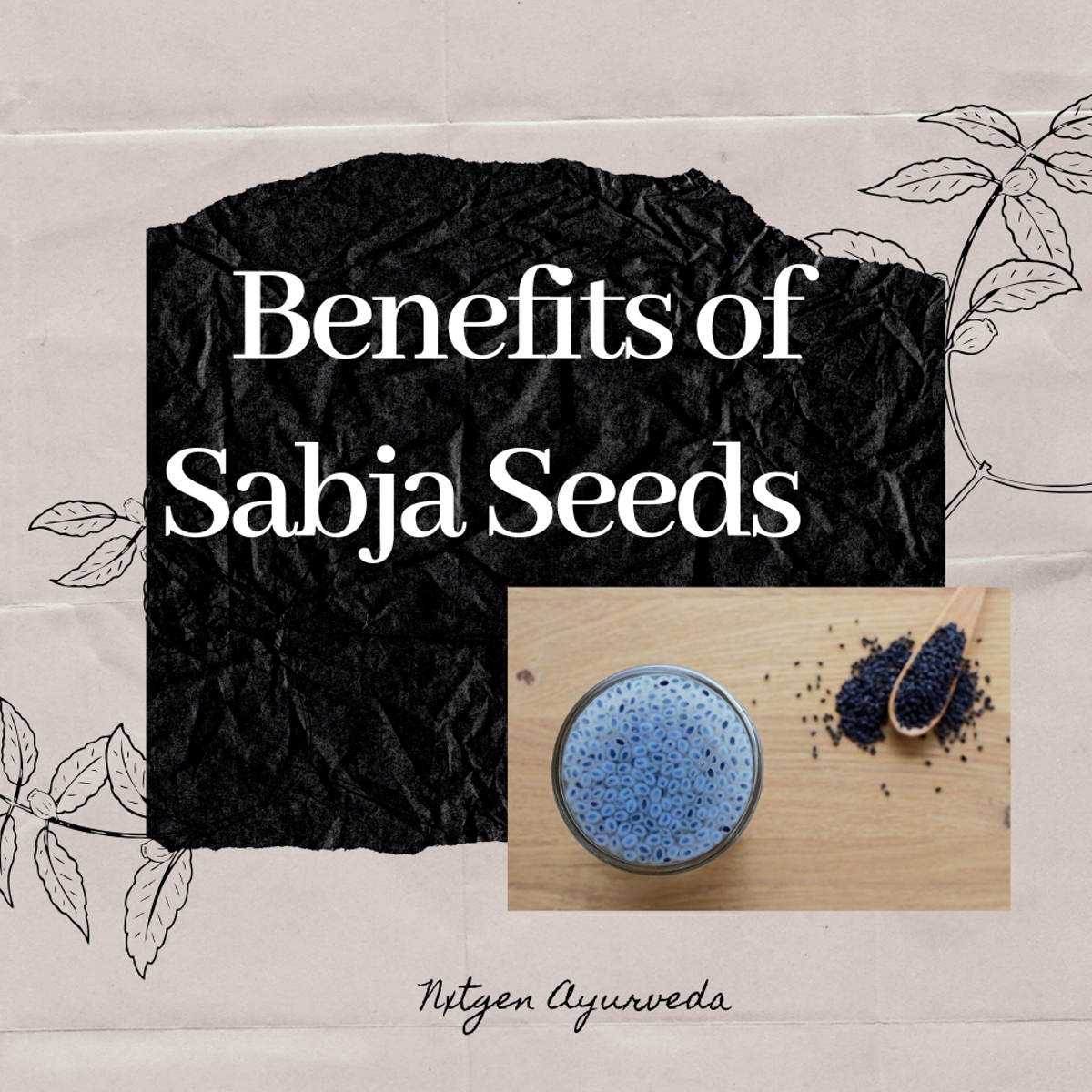 Sabja/ Basil Seeds - 200 gms