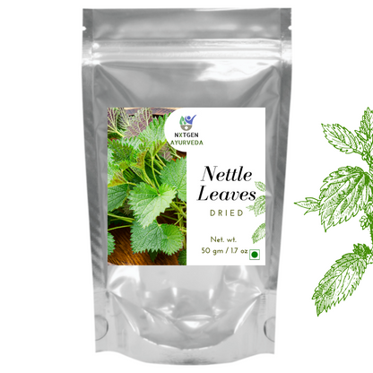 Nettle leaf is rich in vitamins, minerals, and antioxidants.