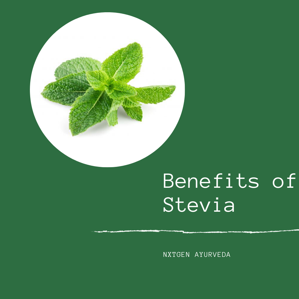 Stevia Dry Leaves - 50 Gms